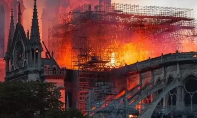 ¿ESTÁN EXTERMINANDO A LOS BLANCOS?