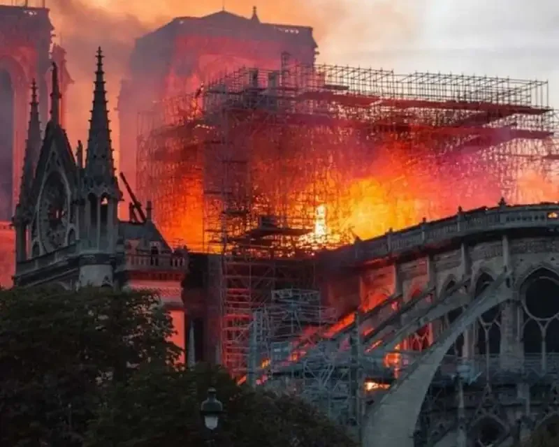 ¿ESTÁN EXTERMINANDO A LOS BLANCOS?